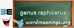 WordMeaning blackboard for genus raphicerus
